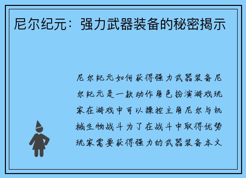 尼尔纪元：强力武器装备的秘密揭示